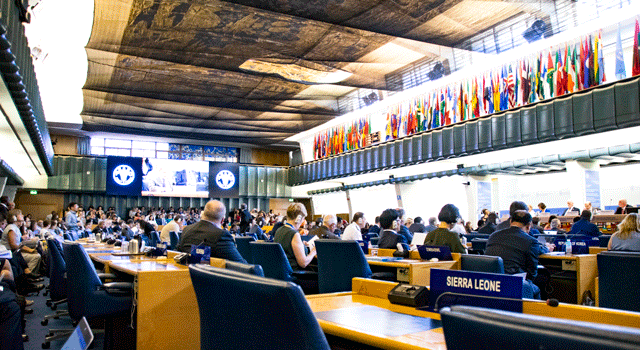 The 33rd Session of the Committee on Fisheries (COFI)
