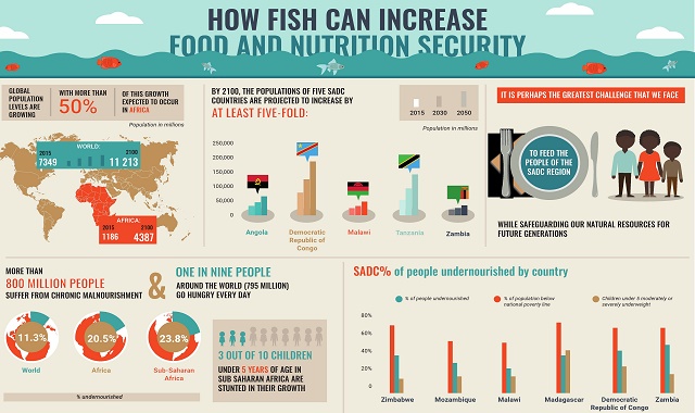 Fisheries in food and nutrition security in the SADC region