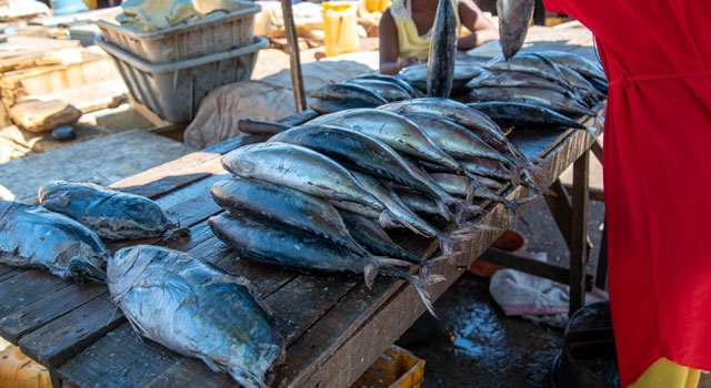 Port State Measures to Stop Illegal Fishing supports FAO workshop in Madagascar