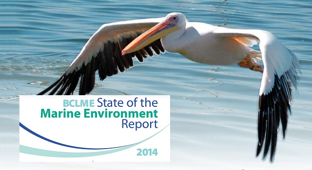 First State of the Marine Environment Report for the Benguela Current Large Marine Ecosystem  2014