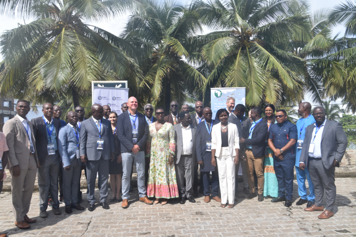 Sixteenth meeting of the West Africa Task Force